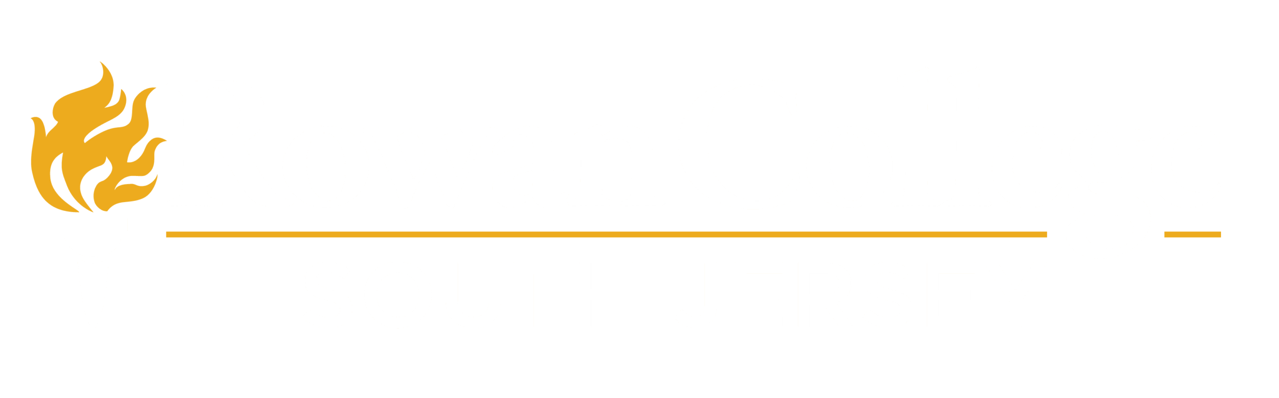 Rowan College of South Jersey wordmark logo with torch symbol on blue background